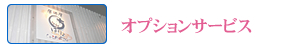 オプションサービス