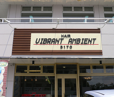VIBRANT AMBIENT 3170 様