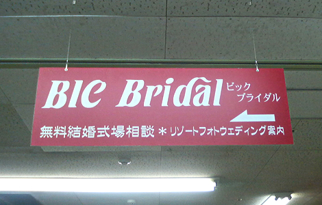 bicbridal