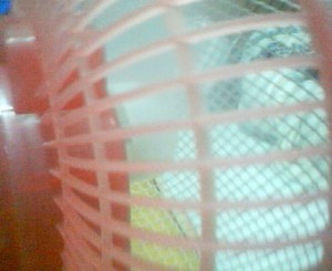 Photo_gya022